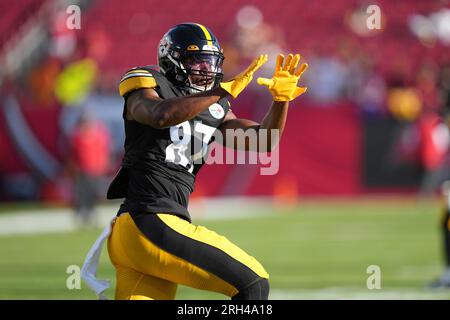 Pittsburgh Steelers tight end Rodney Williams (87) stretches before an NFL  preseason football game against the Tampa Bay Buccaneers, Friday, Aug. 11,  2023, in Tampa, Fla. (AP Photo/Peter Joneleit Stock Photo - Alamy