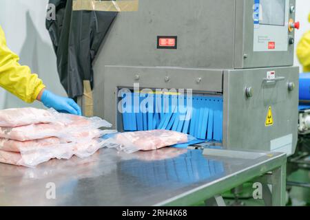 Slaughter House In Chicken Factory With Underage Workers Britain 1970's ...