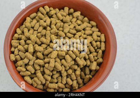 Pet food, special food for pet rodents, transmitting food care and well-being to your furry friend. Nutritious and balanced food for pet rodents, prov Stock Photo