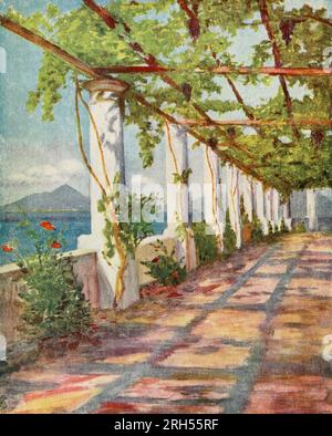 A PERGOLA LOOKING OUT ON MOUNT VESUVIUS frontispiece from the book ' Italy ' part of the series ' Peeps of History ' by John Finnemore John Finnemore (1863–1915) was a British school teacher and writer of fictional novels and history and geography texts of countries - most are for younger readers. Finnemore contributed stories to popular boys' magazines of his time such as The Boy's Own Paper and Boys' Realm but he is best remembered for his books about Teddy Lester and his friends at Slapton, a fictitious English public school. The stories have a strong sporting focus, with Lester excelling a Stock Photo