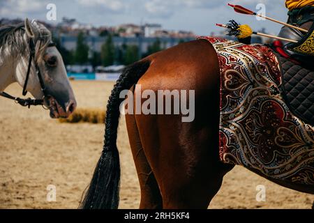 Old style wooden arrows in the case  on horseback Stock Photo