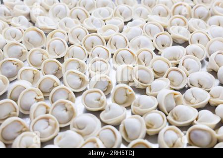Rows of beautiful dumplings on a grey tabletop, close-up Stock Photo
