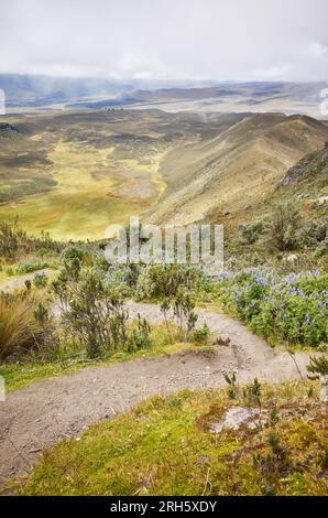 Trail to Ruminahui volcano, Cotopaxi National Park, Ecuador Stock Photo ...