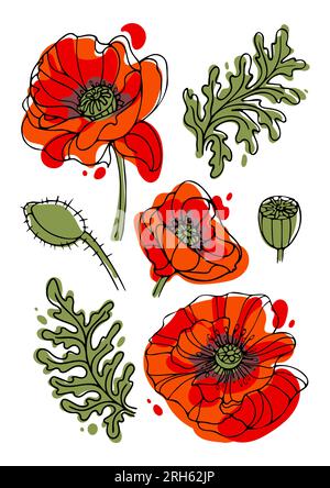 Set of modern bright Poppy flowers for memorial day, on a white background. Botanical vector illustration in hand drawn style for stickers, posters, c Stock Vector