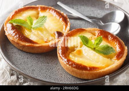 Ruddy baked Apple tart with custard decorated with mint close-up in a plate on the table. Horizontal Stock Photo