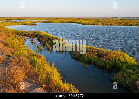 Ebro Delta, delta region of the Ebro River in the southwest of the Province of Tarragona, Catalonia, Spain Stock Photo