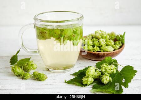 Hop Tea Light Herbal medicinal tea drink made of Humulus lupulus, the common hop or ...
