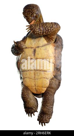3D rendering of a sea turtle isolated on white background Stock Photo ...