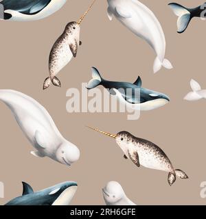 Watercolor seamless pattern with beluga, killer whale and narwhal isolated on white background. Hand painting realistic Arctic and Antarctic ocean mam Stock Photo