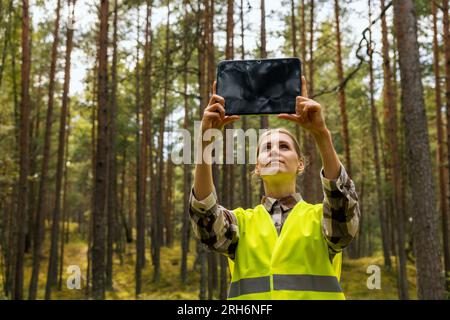 valuation and appraisal of forest. appraiser taking pictures of trees, biomass estimation Stock Photo