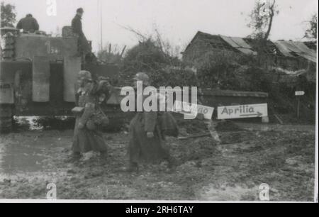 SS Photographer, Grönert, Hermann (Totenkopf, Russia and Italy 1943) Tiger I demonstration to Japanese officers; winter combat action with halftracks, flak gun mounted on halftrack, and StuG III;  Russian populace; many combat action photos of infantry in Russia with Tiger Is, StuG, Marder, and anti-tank guns; destroyed and captured Russian tanks; Russian prisoners of war; soldiers emplacing mines; assault guns and Tiger Is with infantry in Italy,  infantry training with mortars and a schwimmwagen crossing river Stock Photo