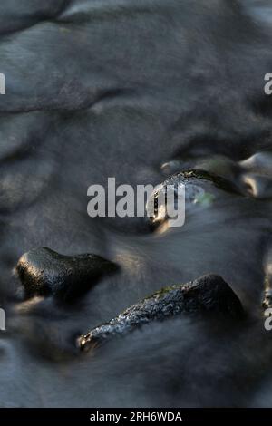 A river detail on a tributary of the River Spey near Boat of Garten, Speyside, Scotland, UK Stock Photo