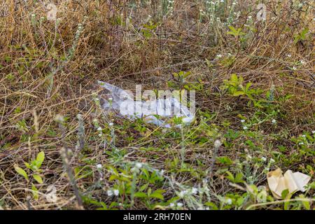 Pollution by a transparent plastic foil in a field with grass, Germany Stock Photo