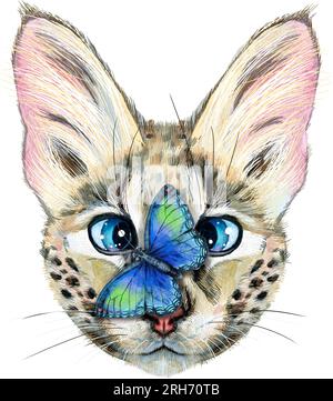 Cute cat with butterfly. Cat for t-shirt graphics. Watercolor Savannah cat illustration Stock Photo