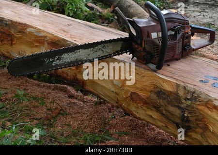 Angle view of a portable gasoline Chainsaw put on a flattened hardwood stem which is marked to be sliced horizontally to get wood planks Stock Photo