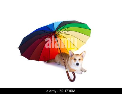multicolored umbrella isolated on white background Stock Photo