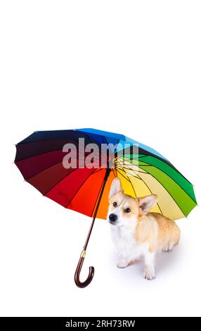 multicolored umbrella isolated on white background Stock Photo