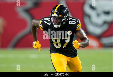 Pittsburgh Steelers tight end Rodney Williams (87) stretches before an NFL  preseason football game against the Tampa Bay Buccaneers, Friday, Aug. 11,  2023, in Tampa, Fla. (AP Photo/Peter Joneleit Stock Photo - Alamy