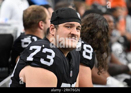 https://l450v.alamy.com/450v/2rh76gn/las-vegas-raiders-guard-vitaliy-gurman-73-plays-during-a-pre-season-nfl-football-game-against-the-san-francisco-49ers-sunday-aug-13-2023-in-las-vegas-ap-photodenis-poroy-2rh76gn.jpg