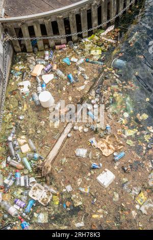 Discarded plastic bottles, food packaging and tins floating in a dock in Salford Quays, Greater Manchester, England, UK Stock Photo