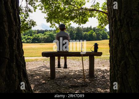 Boy child sitting on wooden bench back rear view, Faber-ret (meadow), Soproni-hegyseg (Mountains), Sopron, Hungary Stock Photo