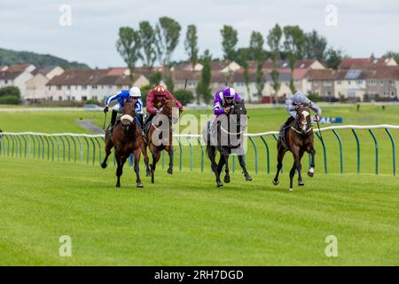 Race horses running along the flat turf track at Ayr Racecourse, Ayr, Scotland Stock Photo