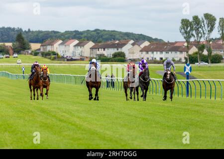 Race horses running along the flat turf track at Ayr Racecourse, Ayr, Scotland Stock Photo