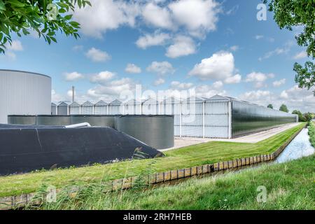 Perspective view of a modern industrial greenhouse with solar and rainwater harvesting systems in the Netherlands. Stock Photo