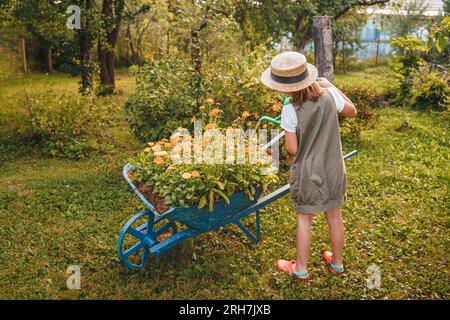 Farmer girl in summer straw hat. Little gardener watering flowerbed with yellow orange flowers, growing in soil in old iron garden wheelbarrow. Green Stock Photo