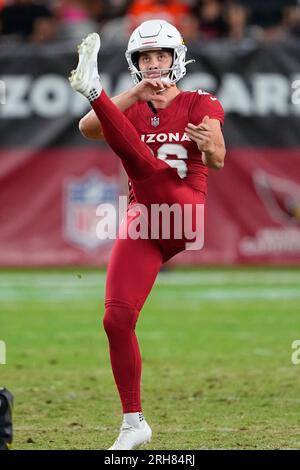 Arizona Cardinals punter Nolan Cooney stands out with his play in NFL  preseason