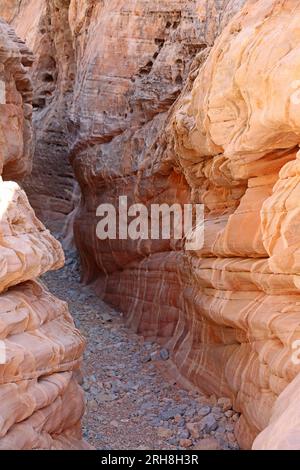 In slot canyon vertical - Valley of Fire State Park, Nevada Stock Photo