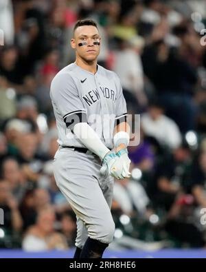 Aaron Judge of the New York Yankees 2013 Bowman rookie card on top of stack  of baseball cards Stock Photo - Alamy