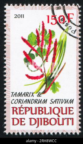 DJIBOUTI - CIRCA 2011: stamp printed by Djibouti, shows Tamarix and Coriander, circa 2011 Stock Photo