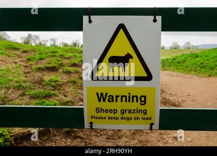 Warning sign, Sheep Grazing, Keep dogs on lead on a metal gate Stock Photo