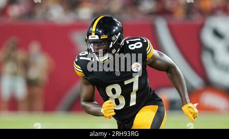 Pittsburgh Steelers tight end Rodney Williams (87) stretches before an NFL  preseason football game against the Tampa Bay Buccaneers, Friday, Aug. 11,  2023, in Tampa, Fla. (AP Photo/Peter Joneleit Stock Photo - Alamy