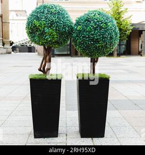 artificial plants trees in pots for decoration street and yards. Stock Photo