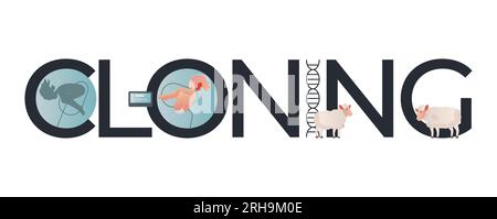 Cloning genetics composition with flat text and icons of embryo dna and sheeps on blank background vector illustration Stock Vector