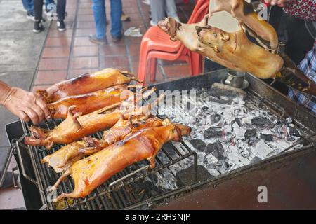 Close up photo of roasted guinea pigs (cuy) on a grill in Banos town, selective focus, Ecuador. Stock Photo