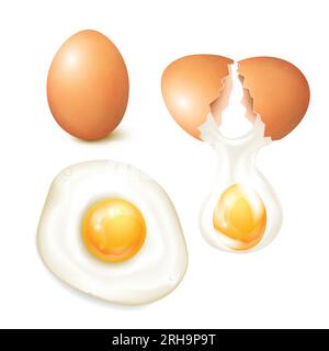 Realistic chicken eggs set with cracked and fried isolated on white background vector illustration Stock Vector
