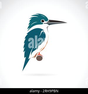 Vector of kingfisher design on a white background. Bird. Wildlife Animals. Easy editable layered vector illustration. Stock Vector
