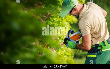 Caucasian Professional Garden Worker in His 40s Shaping Green Shrub Wall Using Cordless Electric Trimmer Stock Photo