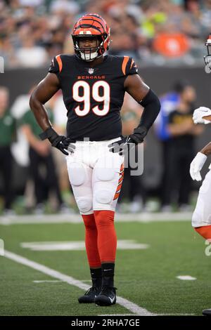 Cincinnati Bengals defensive end Myles Murphy (99) removes his helmet  during practice at the team's NFL football training facility, Tuesday, June  6, 2023, in Cincinnati. (AP Photo/Jeff Dean Stock Photo - Alamy