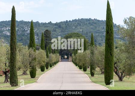 Scenic Provencal castle cypress and olive trees alley in summer. Stock Photo