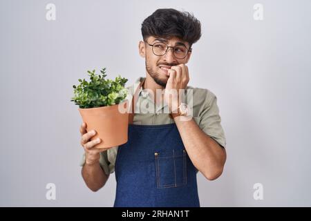 Arab man with beard holding green plant pot looking stressed and nervous with hands on mouth biting nails. anxiety problem. Stock Photo