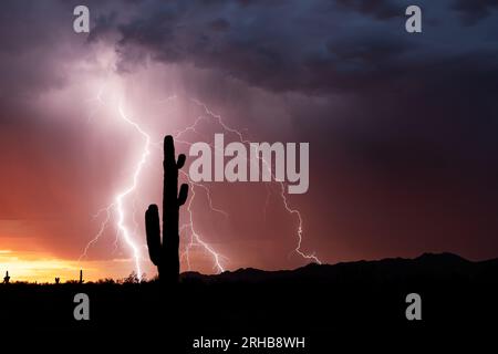 Arizona sunset with Saguaro Cactus silhouette and lightning in the desert near Tucson Stock Photo
