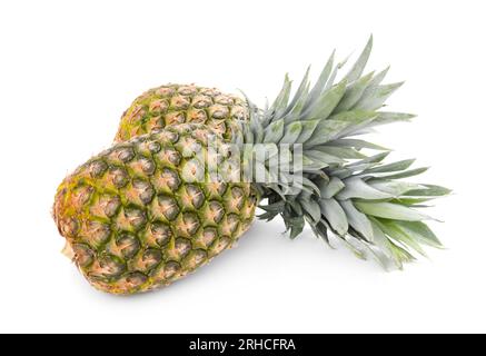 Two delicious ripe pineapples isolated on white Stock Photo