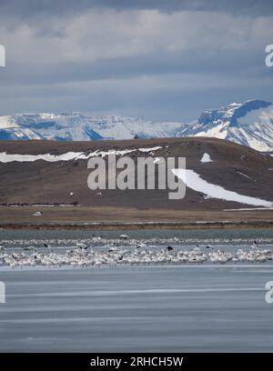 Freezeout Lake Montana- 2020 Stock Photo