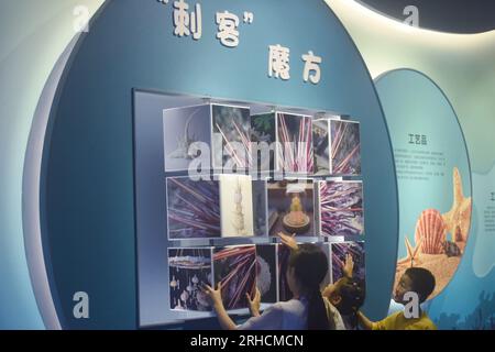 HANGZHOU, CHINA - AUGUST 16, 2023 - Visitors learn about the life habits of Marine benthic animals through a Rubik's cube interactive game at the Zhej Stock Photo