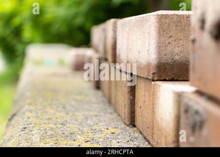 Close up of reddish-brown bricks on light gray concrete wall with moss - rough texture and staggered pattern - blurred garden background Stock Photo