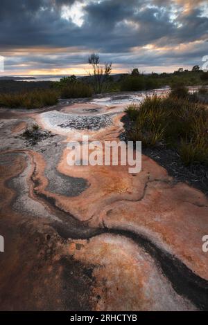 a close up of a rock in brisbane water national park on nsw central coast Stock Photo